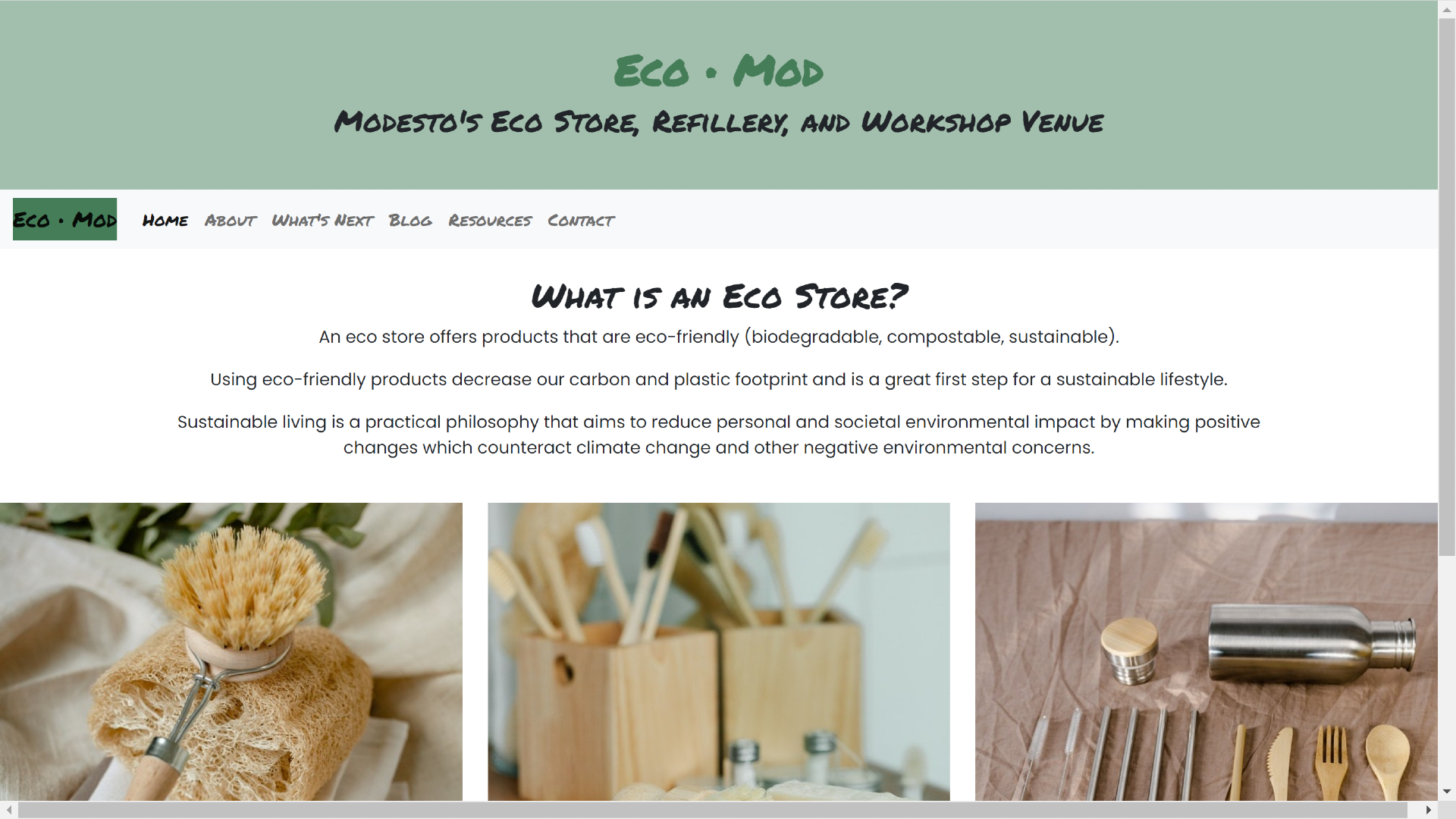 eco store updated website snapshot