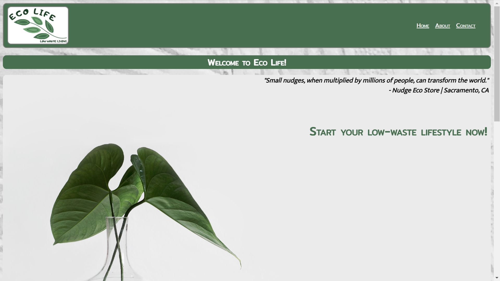 eco store website snapshot